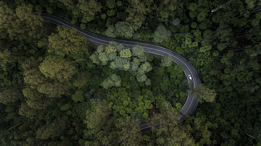 Aerial view of a winding road cutting through a dense green forest, with a single car traveling along the road, highlighting the concept of eco-friendly routing in natural settings.